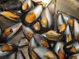 mussels