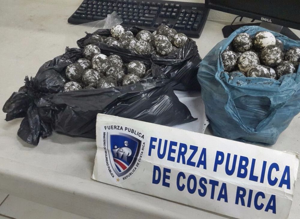 Police officers seized 285 olive ridley sea turtle eggs from a driver on Herradura, near Jaco on Thursday. (MSP photo)
