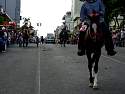 DSCN0337.jpg