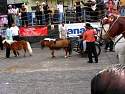 DSCN0537.jpg
