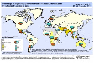 WHO influenza map