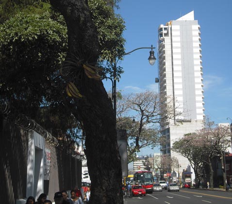 Torres del Paseo Colon