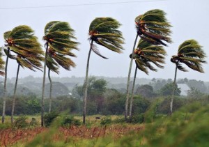 winds