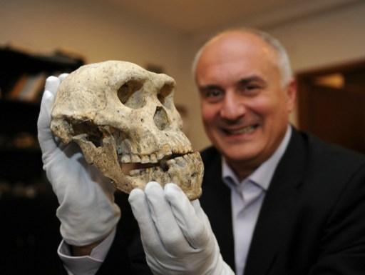 A picture taken in Georgia's capital  in Tbilisi on October 18, 2013, shows David Lordkipanidze, director of the Georgian National Museum,  holding  a well-preserved skull from 1.8 million years ago found found in the remains of a medieval hilltop city in Dmanisi. A stunningly well-preserved skull from 1.8 million years ago offers new evidence that early man was a single species with a vast array of different looks, researchers said yesterday. AFP PHOTO /VANO SHLAMOV