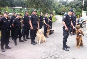 Photo courtesy of the Ministry of Public Security.