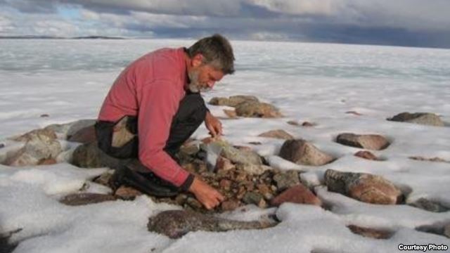 Professor Gifford Miller is shown here collecting dead plant samples from beneath a Baffin Island ice cap. (Photo courtesy Gifford Miller, University of Colorado Boulder)