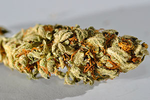 English: Close up shot of some high quality ma...