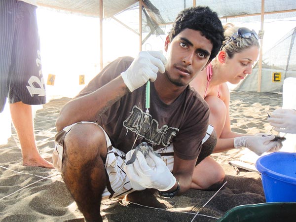 Jairo Mora, a Costa Rican sea turtle conservationist, was found shot dead on May 31st, 2013. (WIDECAST)