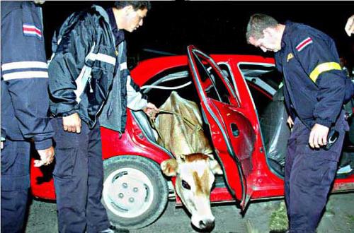 María del Milagro was stolen in a taxi in 2004.