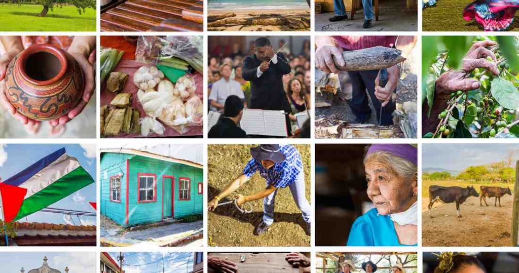 (Collage by Ariana Crespo / La Voz de Guanacaste)