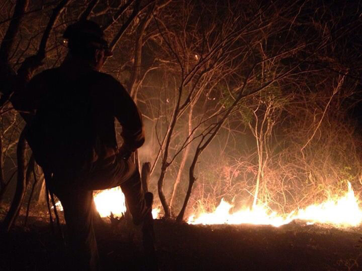Wildfires that have ravaged the Diria National Park in Guanacaste are believed to have been set by hunters. (Photo courtesy of the Ministry of Environment and Energy / MINAE)