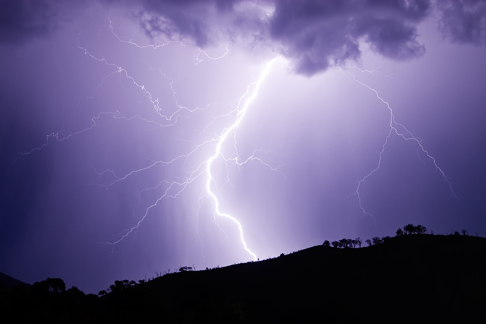 This image was selected as a picture of the we... This image was selected as a picture of the we...