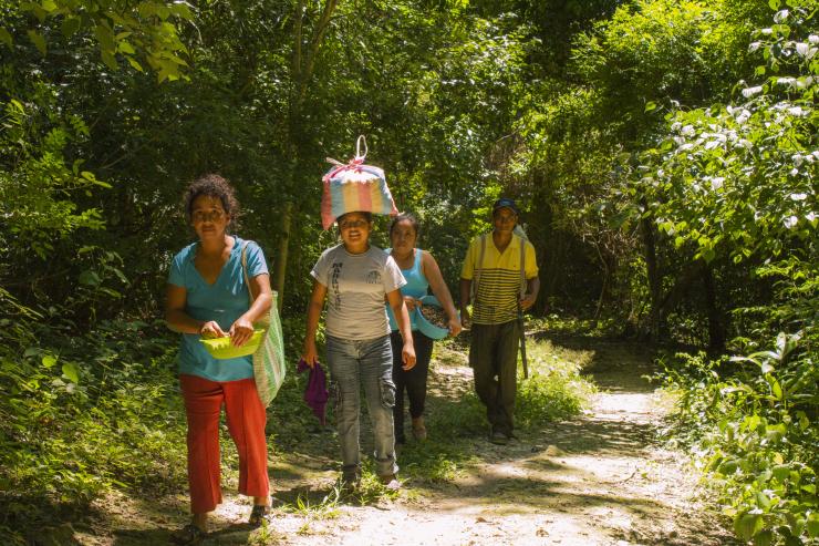 In Petén, Guatemala, local residents gather marble-sized ramón seeds, which are later processed into food products and exported.  Courtesy of Association of Forest Communities of Petén (ACOFOP)